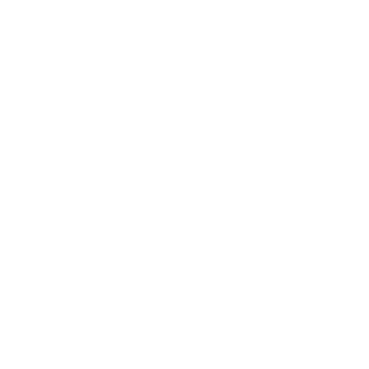 Croce Rossa Italiana logo bianco